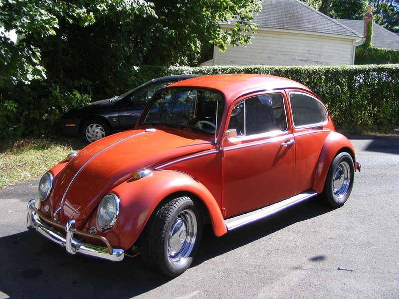 Illustration for article titled Craigslist tales, The beetle